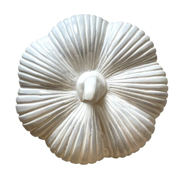 Large White Clay Pumpkin 13x10 Made in India New - Picture 10 of 15